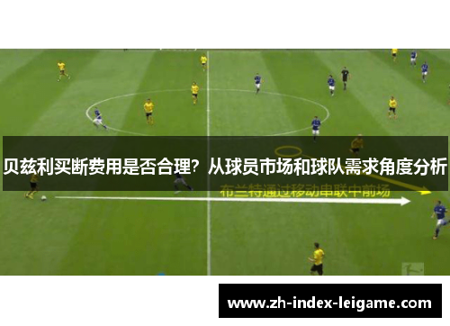 贝兹利买断费用是否合理?从球员市场和球队需求角度分析 贝兹利买断费用是否合理?从球员市场和球队需求角度分析