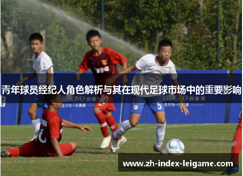 青年球员经纪人角色解析与其在现代足球市场中的重要影响 青年球员经纪人角色解析与其在现代足球市场中的重要影响