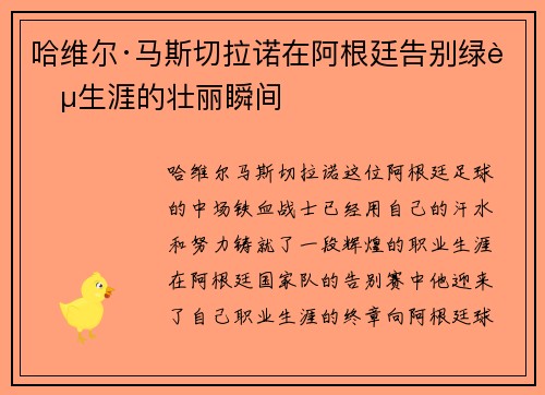 哈维尔·马斯切拉诺在阿根廷告别绿茵生涯的壮丽瞬间